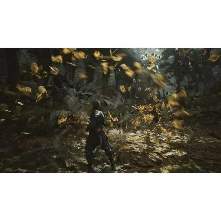 Sony Black Myth: Wukong para PS5